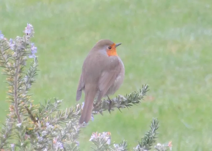 Cosy A 5 Min De Bergerac Apartmán *