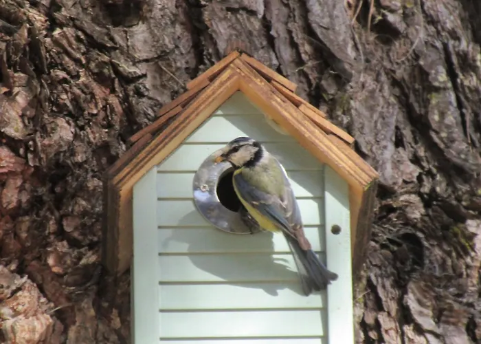 Appartement Appartement Cosy Chic O ZOIZO en Dordogne à 5 minutes de Bergerac Lembras