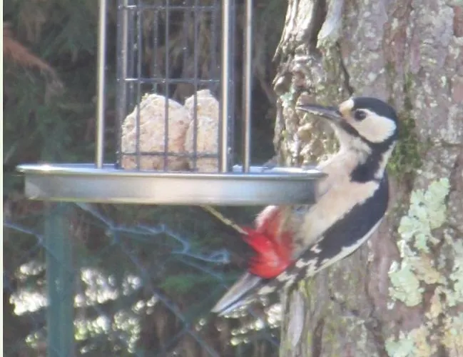 Cosy A 5 Min De Bergerac Apartmán *